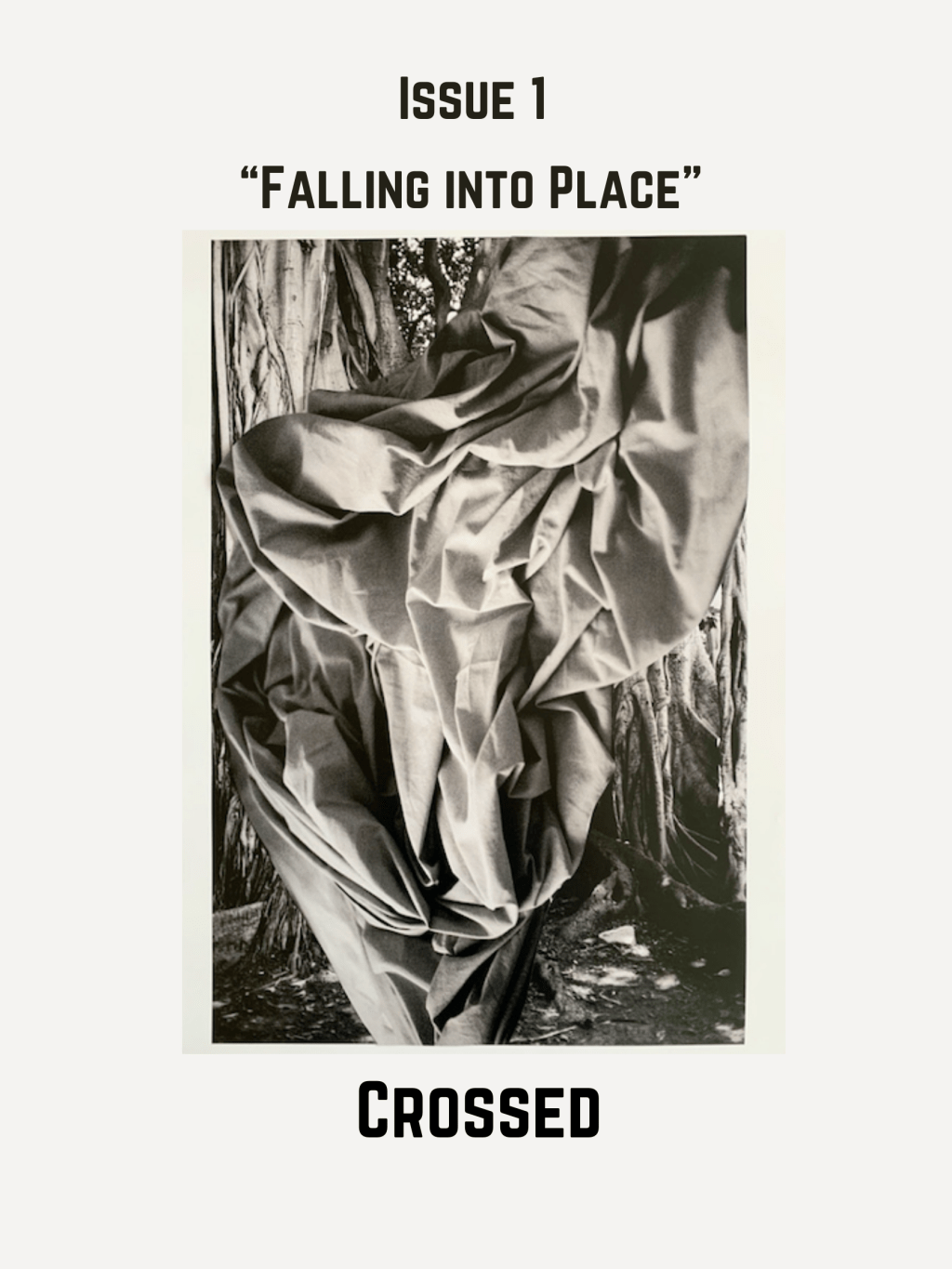 Issue 1: “Falling into&nbsp;Place”